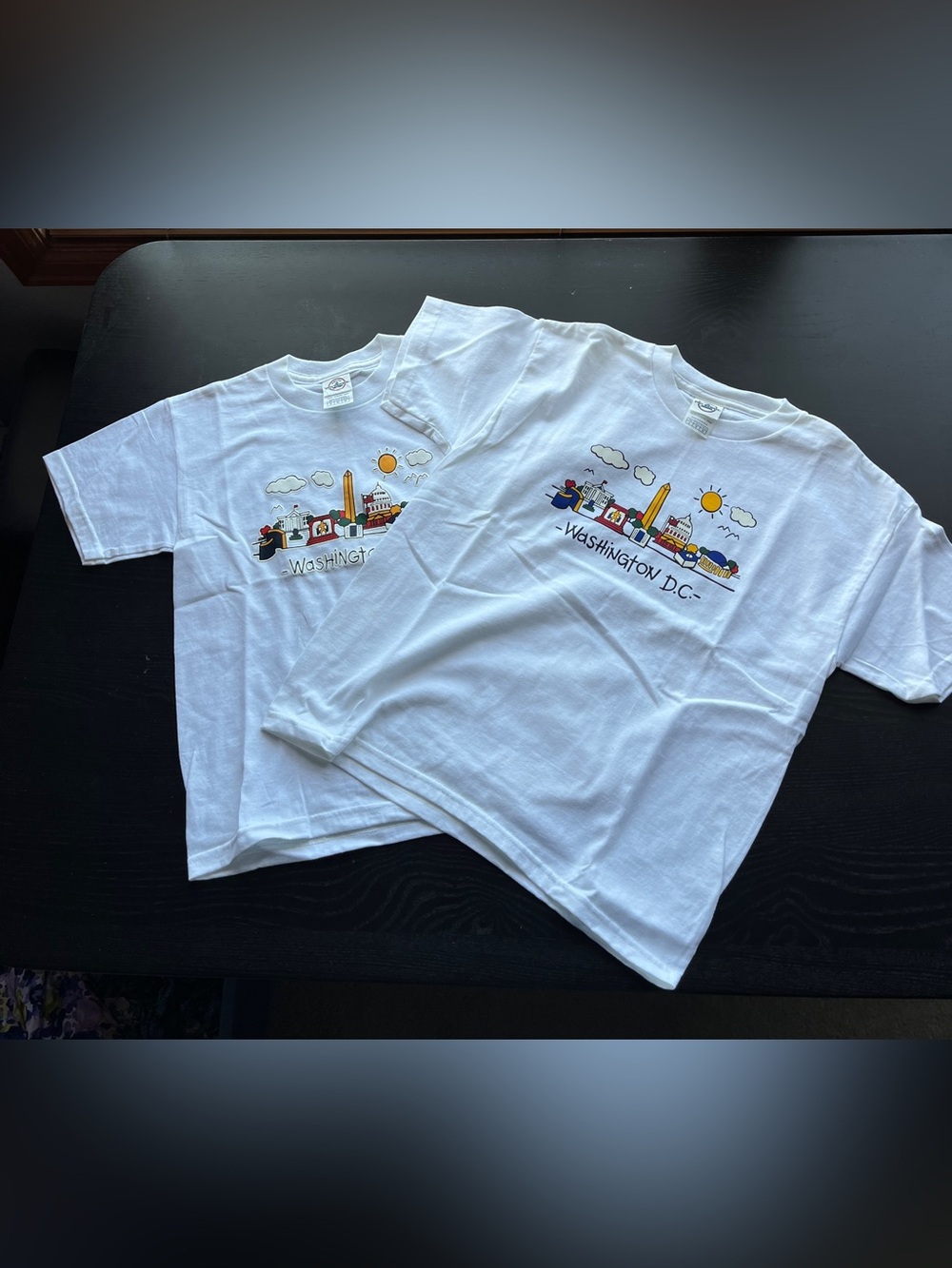 Delta Pro Weight Youth White Washington D.C. Graphic T-Shirt Set (Sizes M & L)
